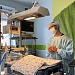Вирус привел к остановке крохотного сердца. Врачи Кардиоцентра спасли трёхмесячного ребенка с молниеносным миокардитом